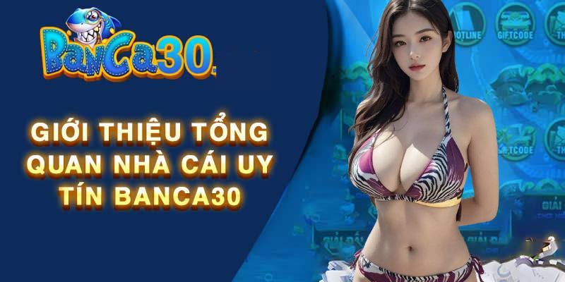 Tổng quan về banca30